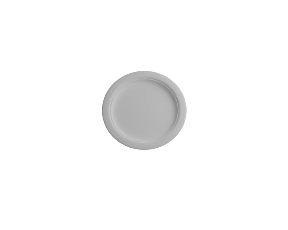 Eco Friendly Biodegradable Plates best